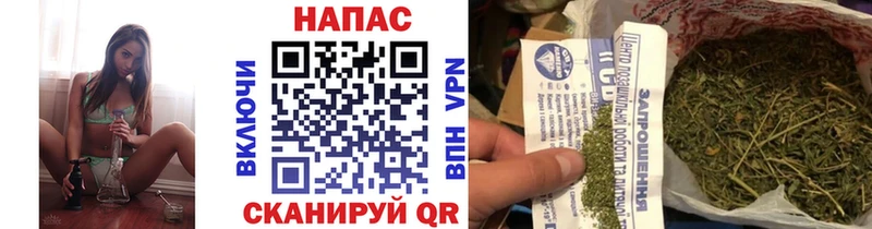Какие есть наркотики Поворино Каннабис  СОЛЬ  Галлюциногенные грибы  ТГК  Мефедрон 