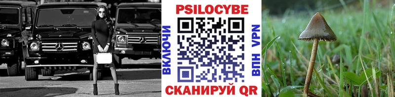 mega ТОР  Поворино  Псилоцибиновые грибы прущие грибы 